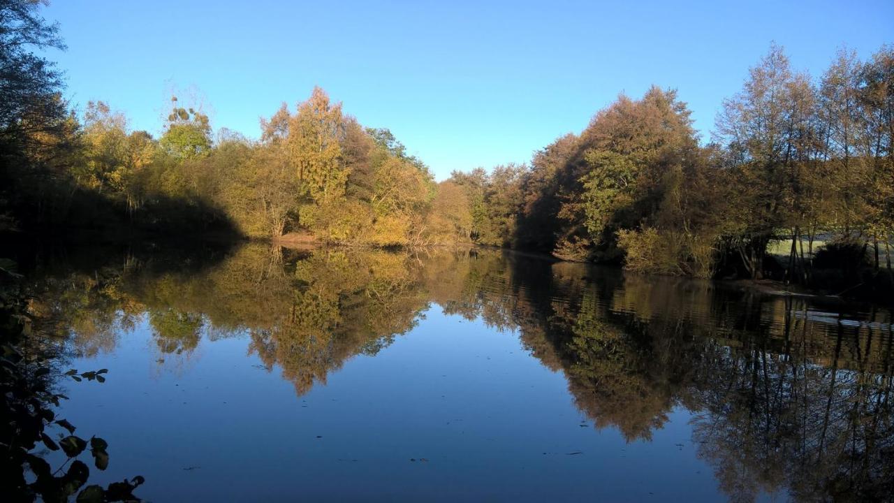 Gite Des Etangs De Beaulieu Le Plessis-Dorin Exterior photo